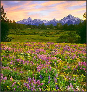 Tetons Wyoming Landscape Photography Art
