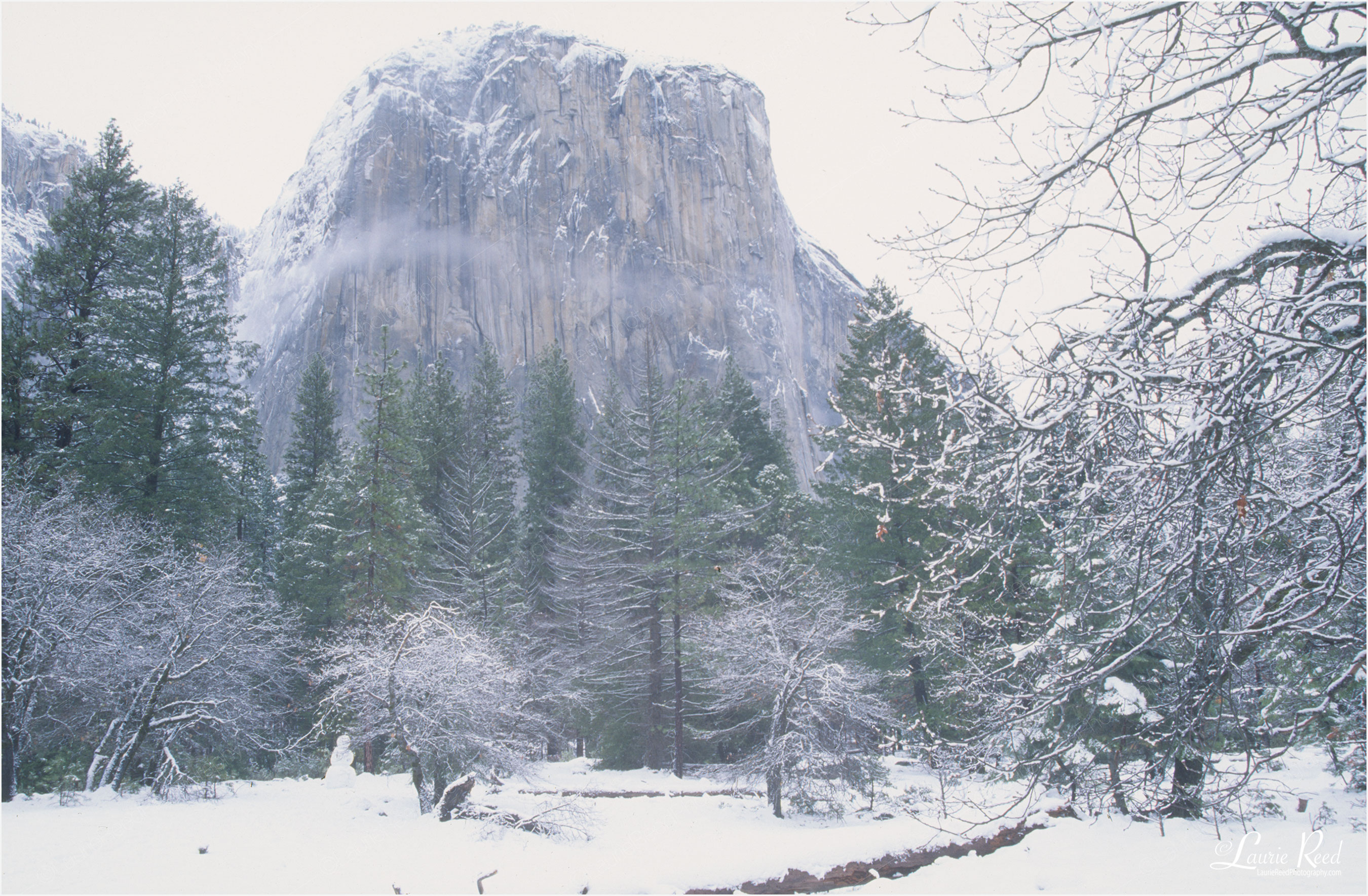 Snowy Yosemite © Laurie Reed Photography