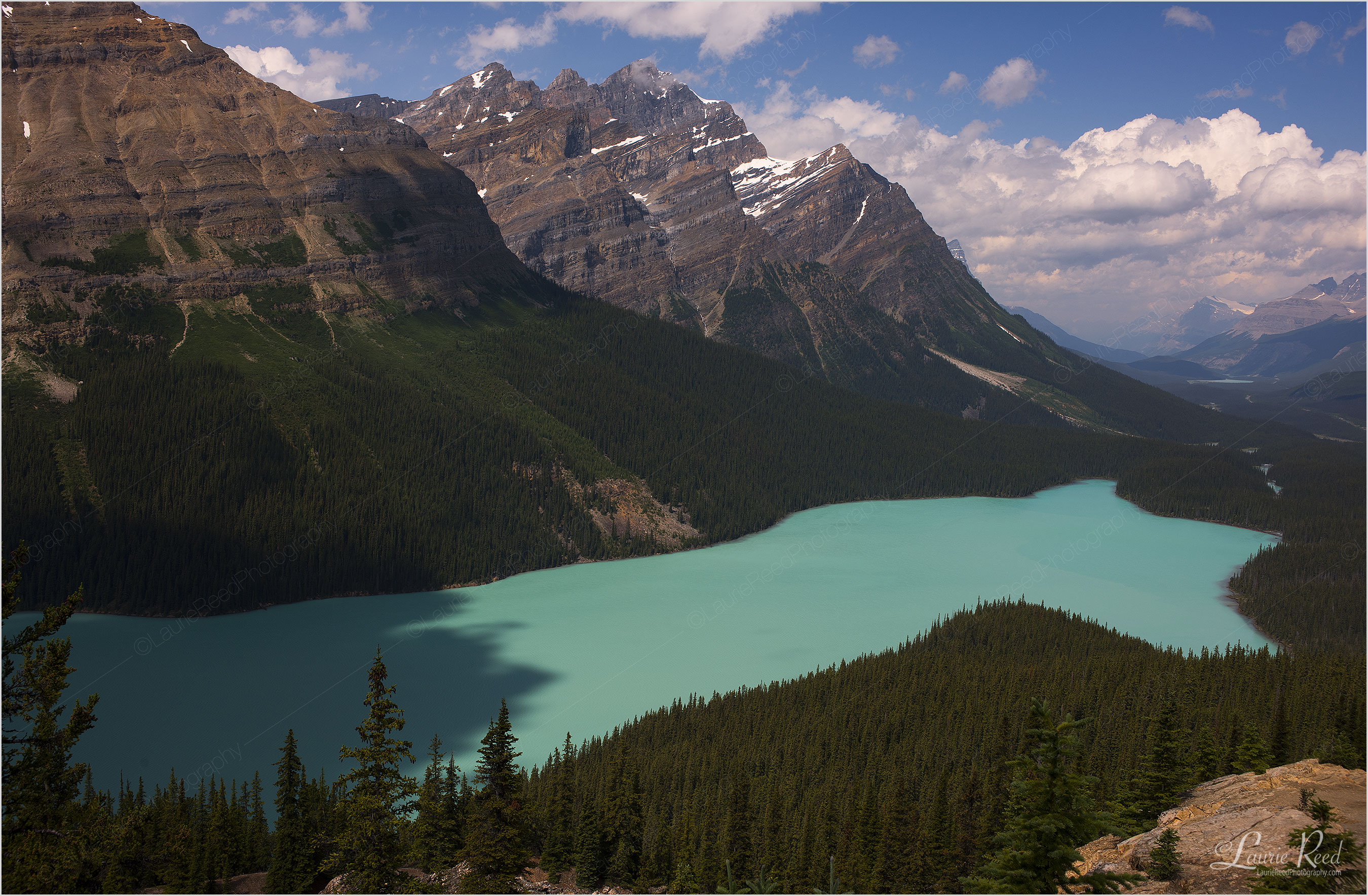 Peyto Lake - © Laurie Reed Photography