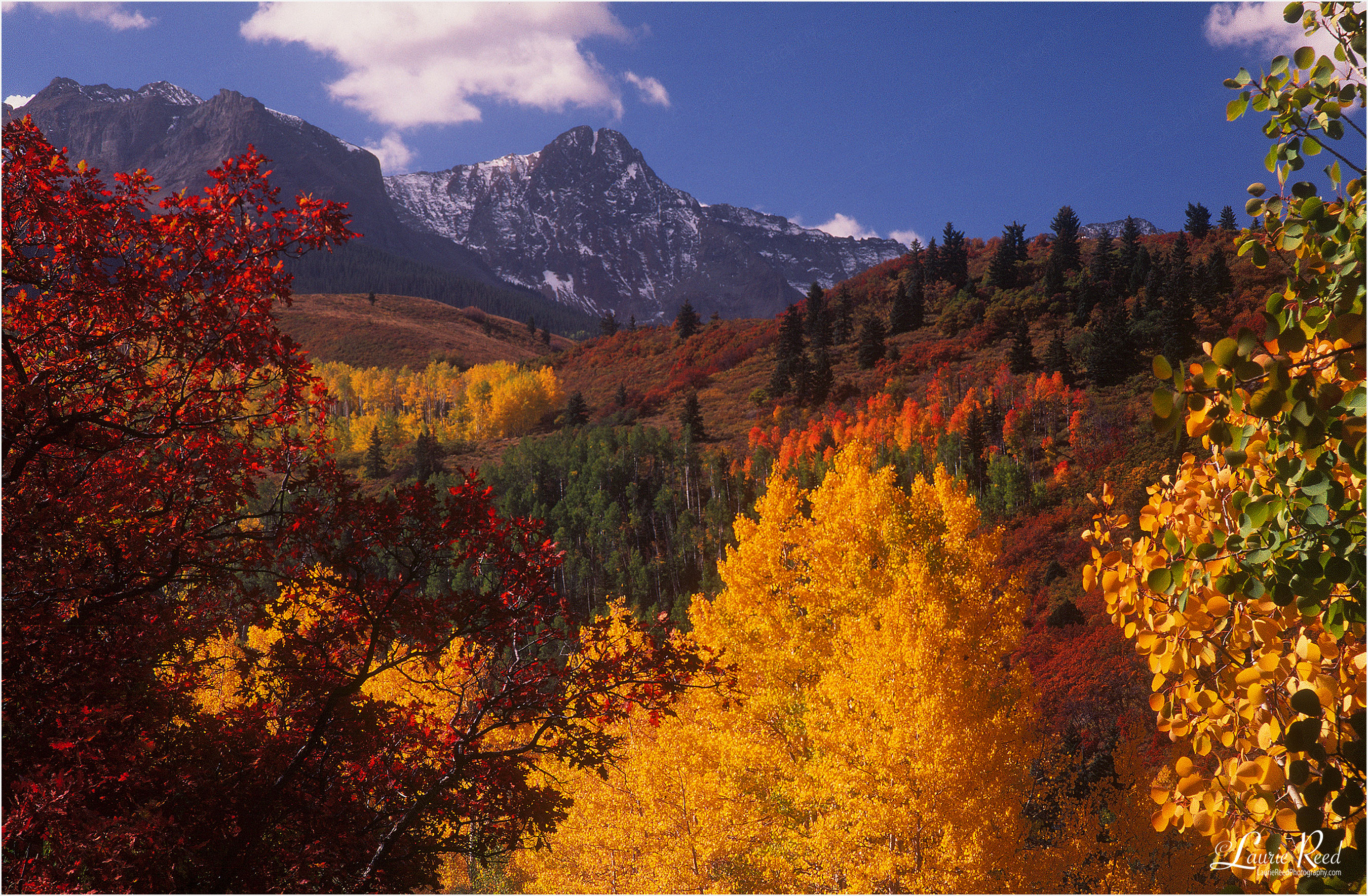 Fall in the San Juan Mountains ©Laurie Reed Photography
