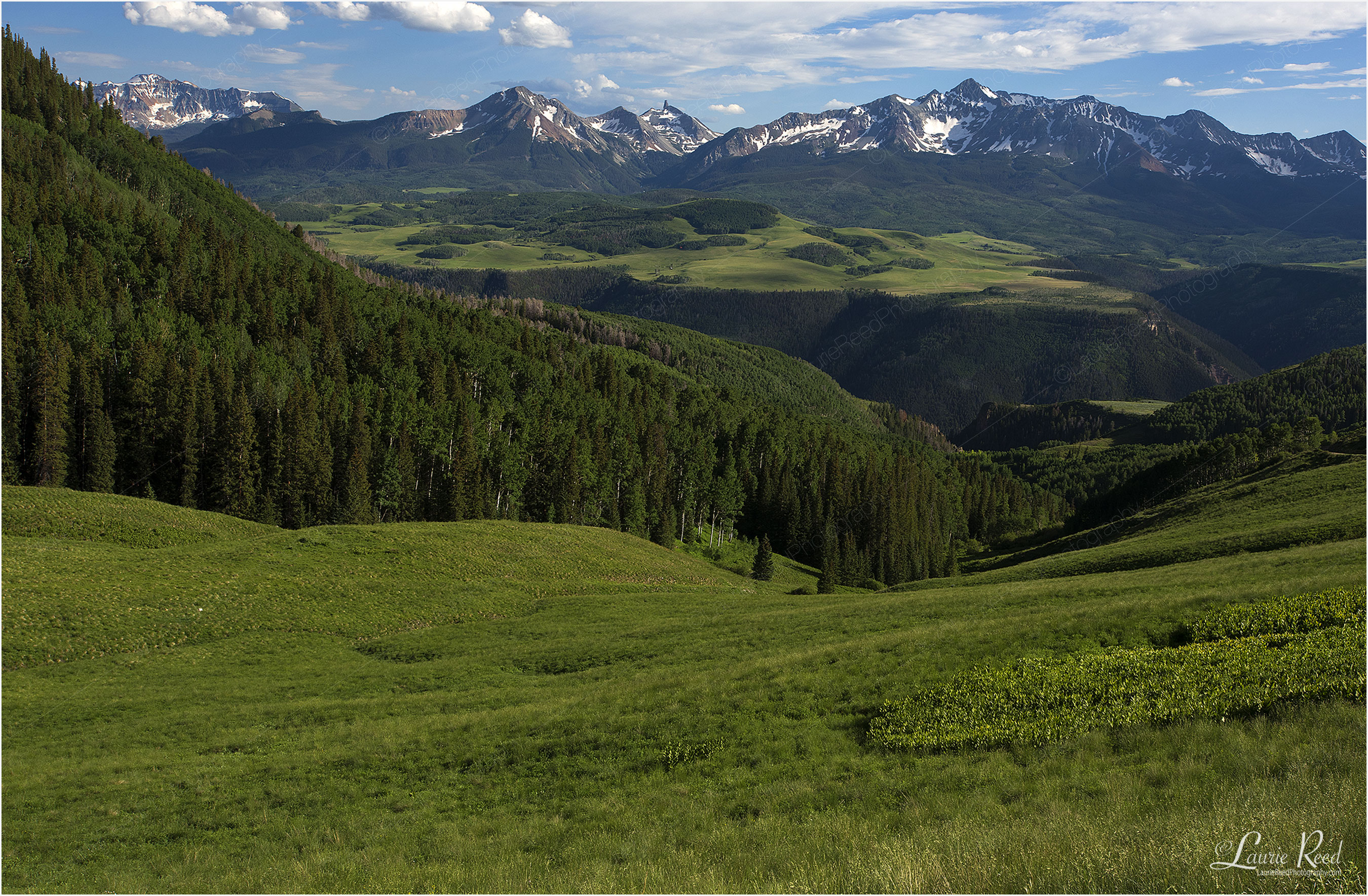 Summer In The San Juan Mountains - © Laurie Reed Photography