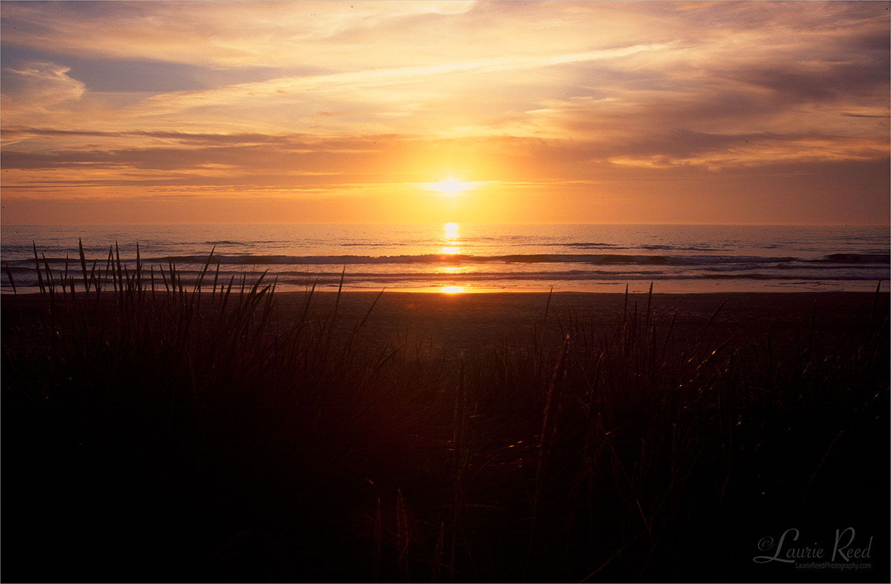 Coos Bay Sunset - © Laurie Reed Photography