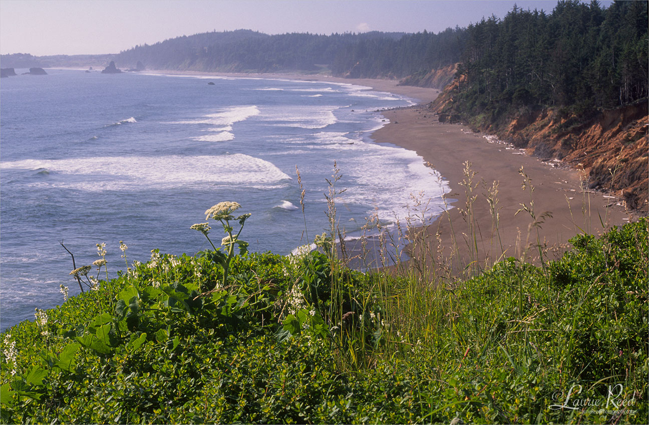 Oregon Coastline - © Laurie Reed Photography