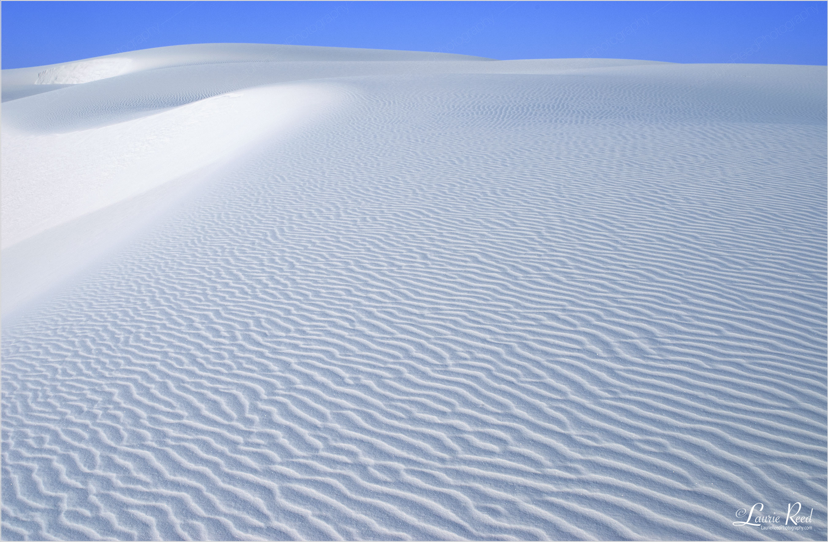 White Sands New Mexico | © Laurie Reed Photography