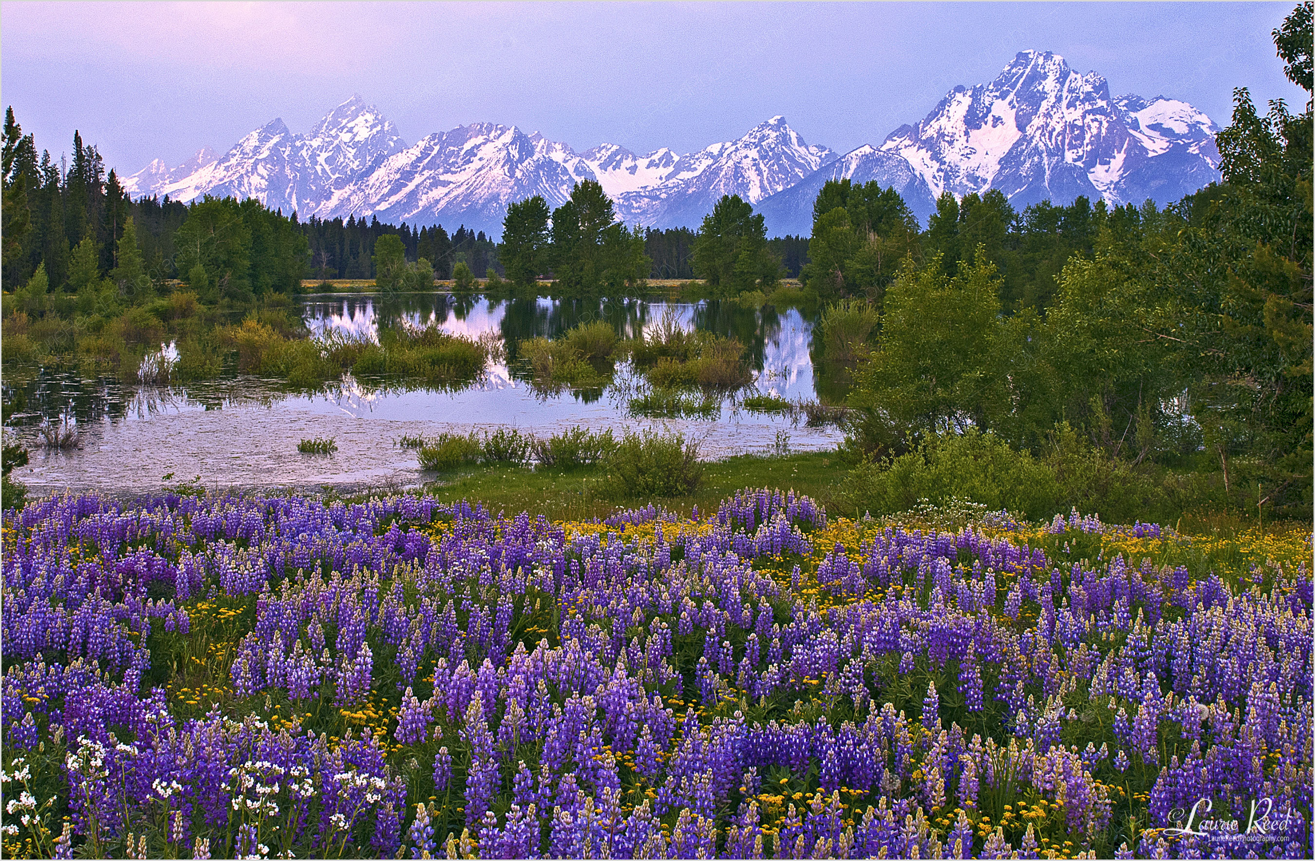The Tetons | Wyoming | © Laurie Reed Photography
