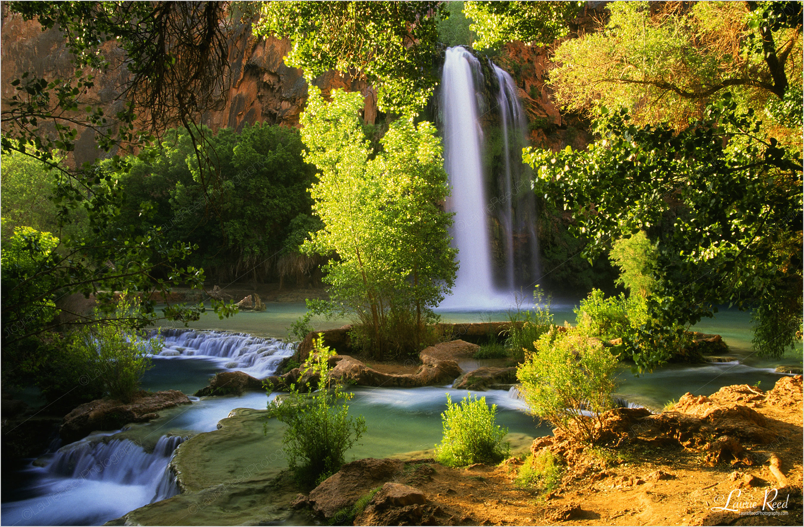 Garden of Eden - Havasu Falls - © Laurie Reed Photography