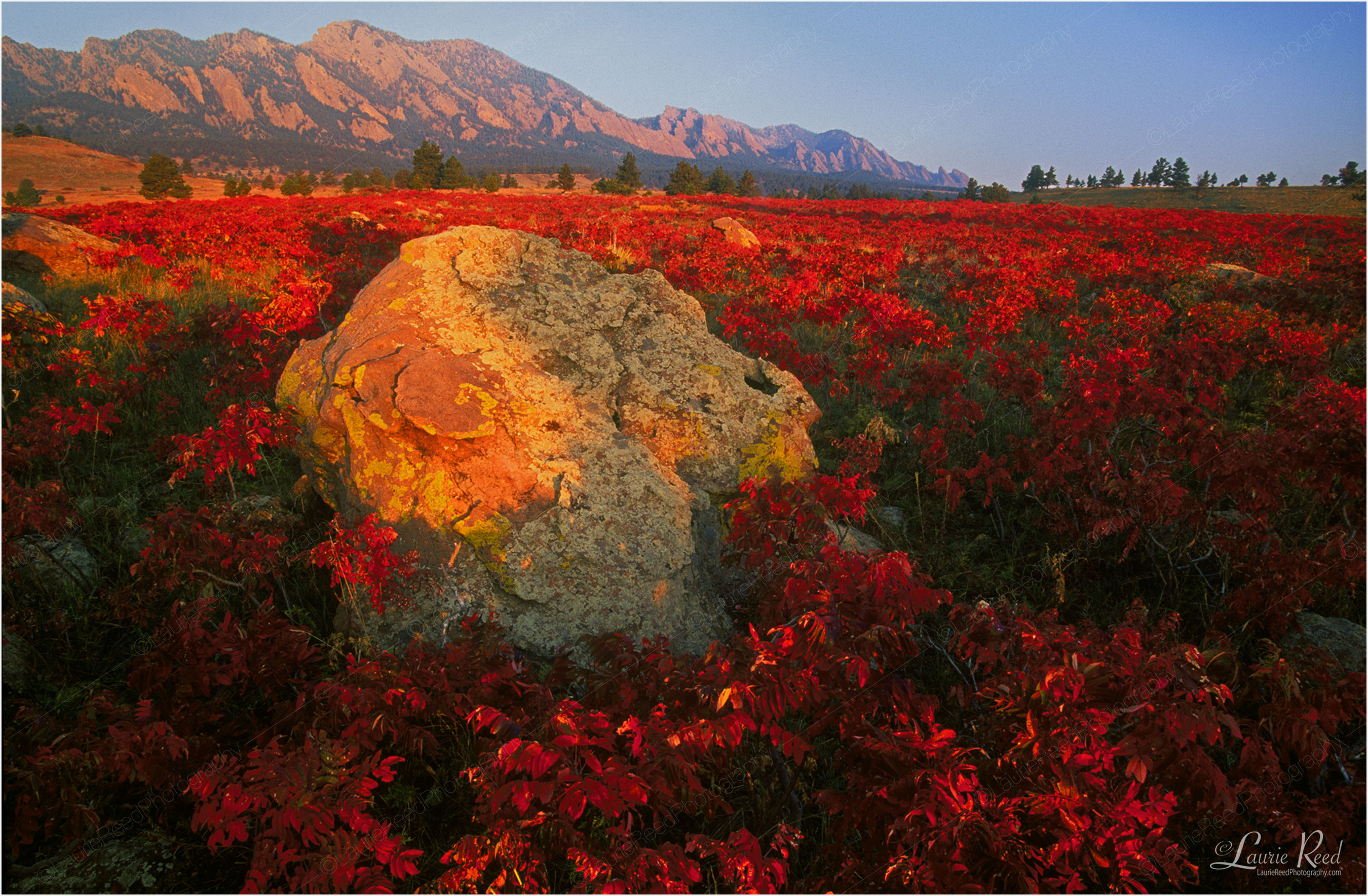 Sumac Boulder Flatirons - © Laurie Reed Photography