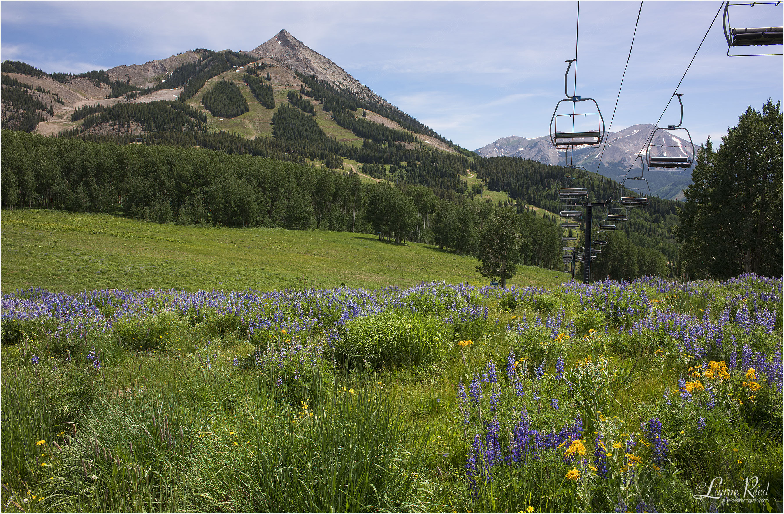 Crested Butte Summer - © Laurie Reed Photography