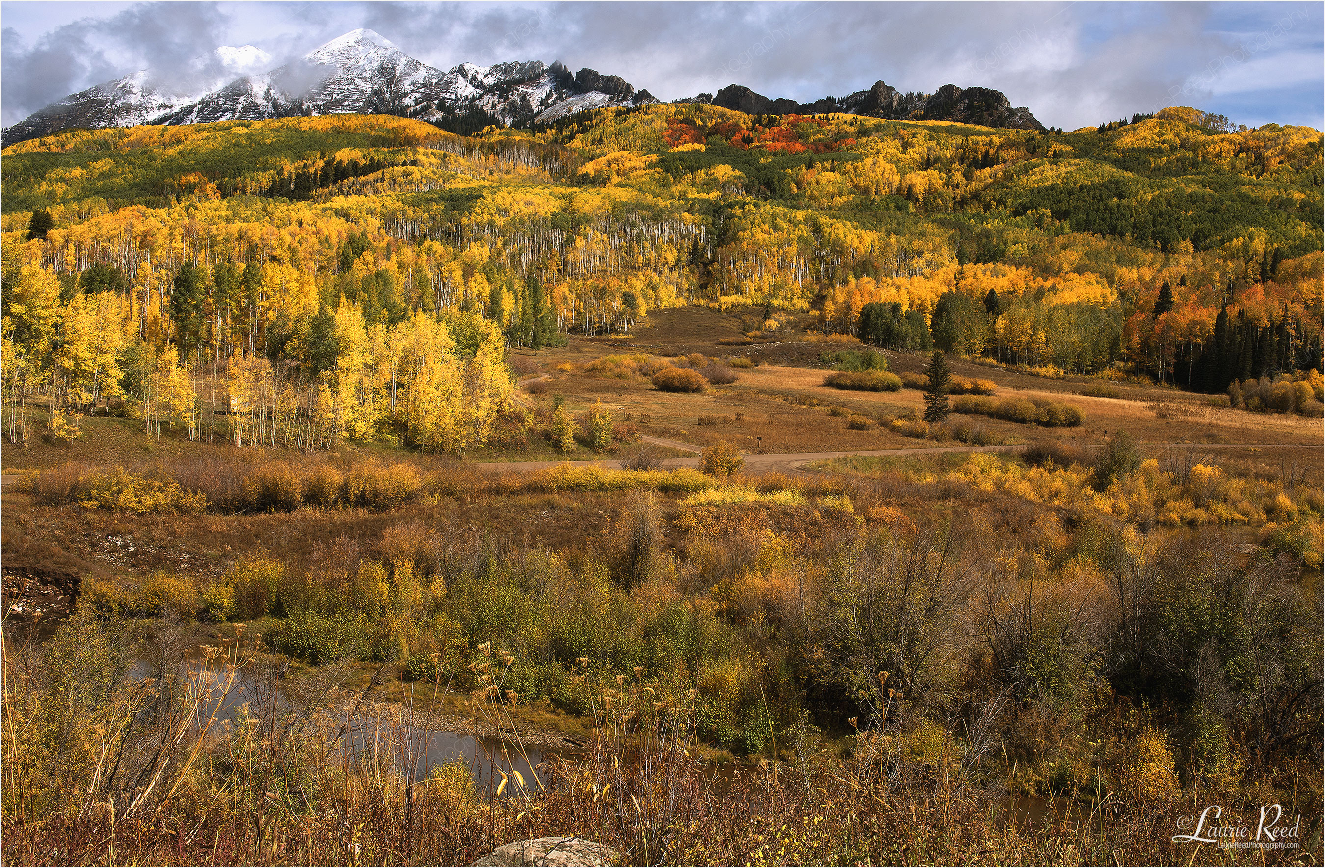 Crested Butte Fall - © Laurie Reed Photography