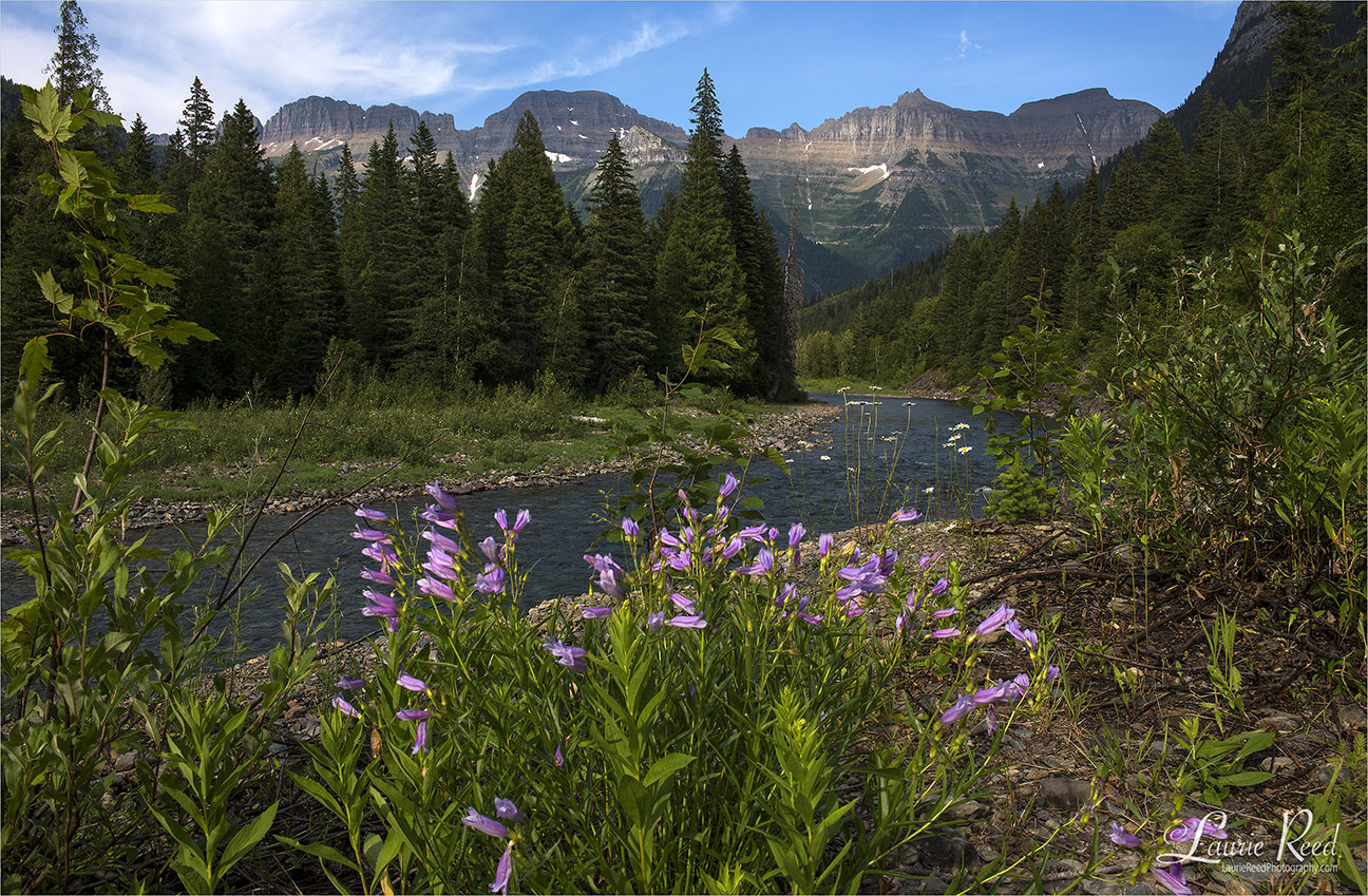 Glacier National Park - © Laurie Reed Photography