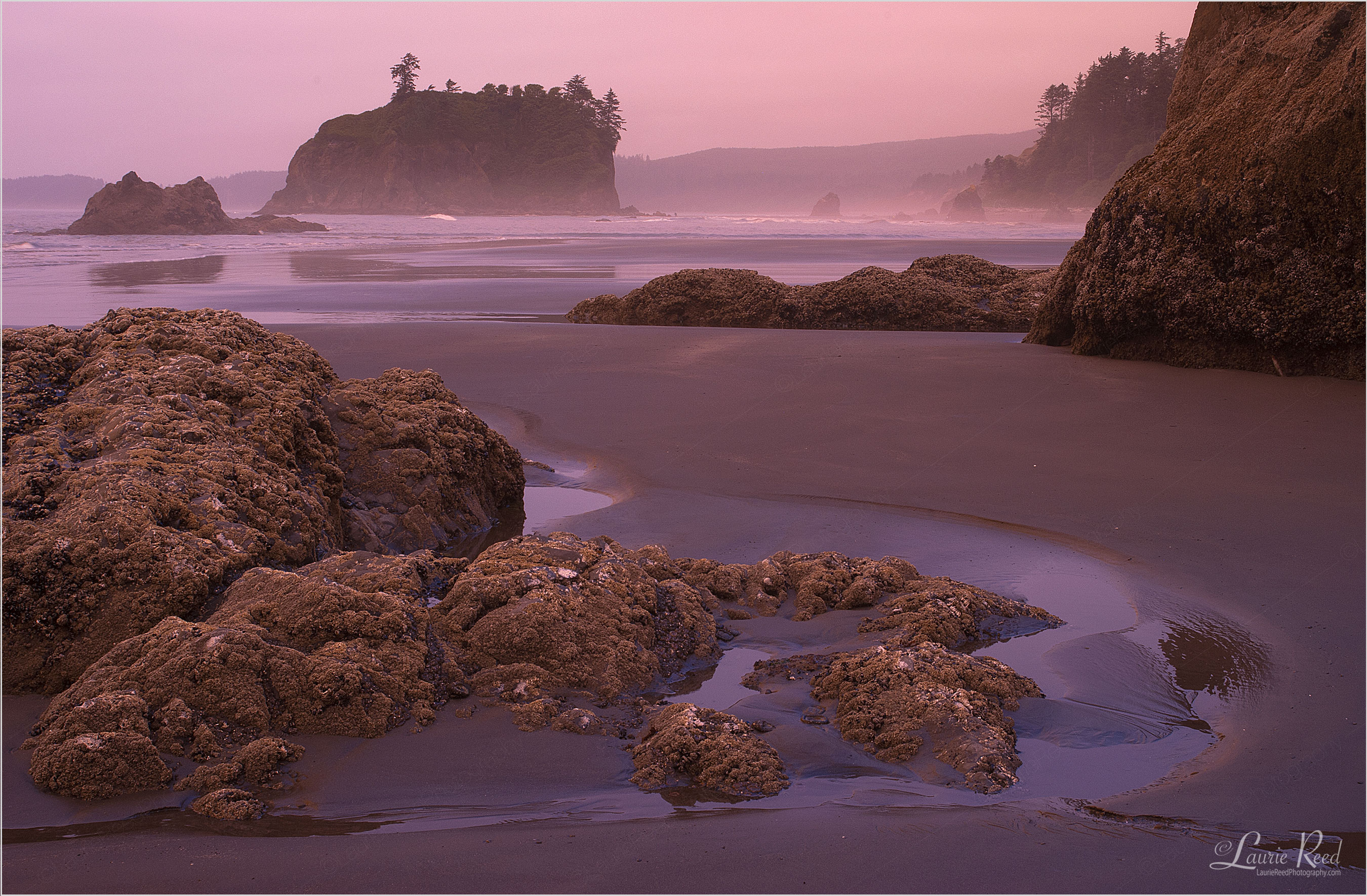 Ruby Beach - © Laurie Reed Photography