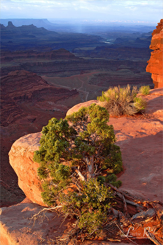 Dead Horse Point State Park - © Laurie Reed Photography