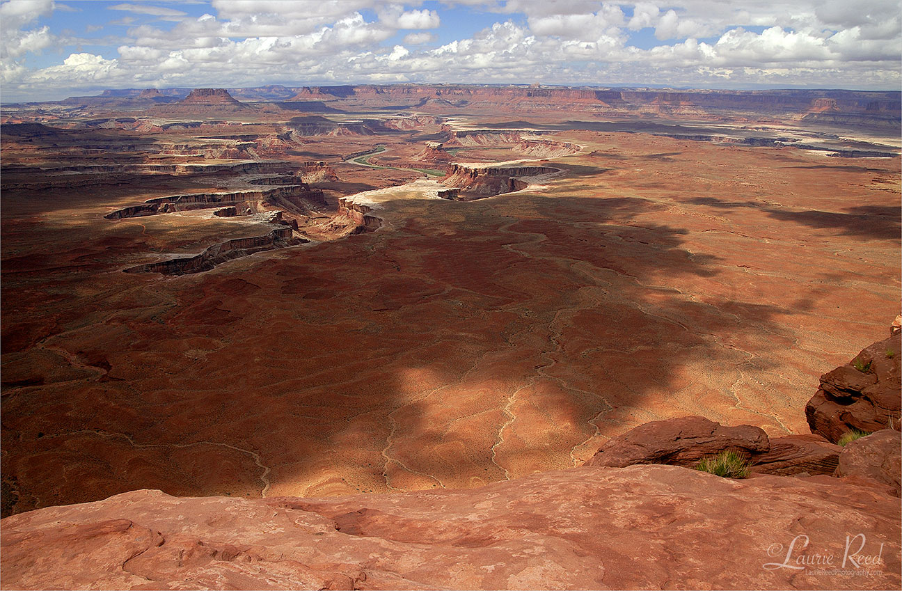 Dead Horse Point State Park - © Laurie Reed Photography