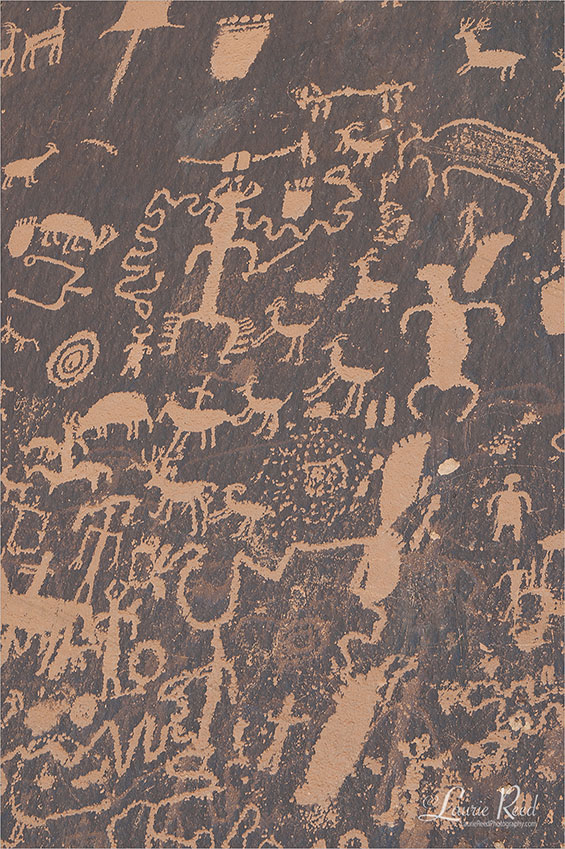 Petroglyphs - © Laurie Reed Photography