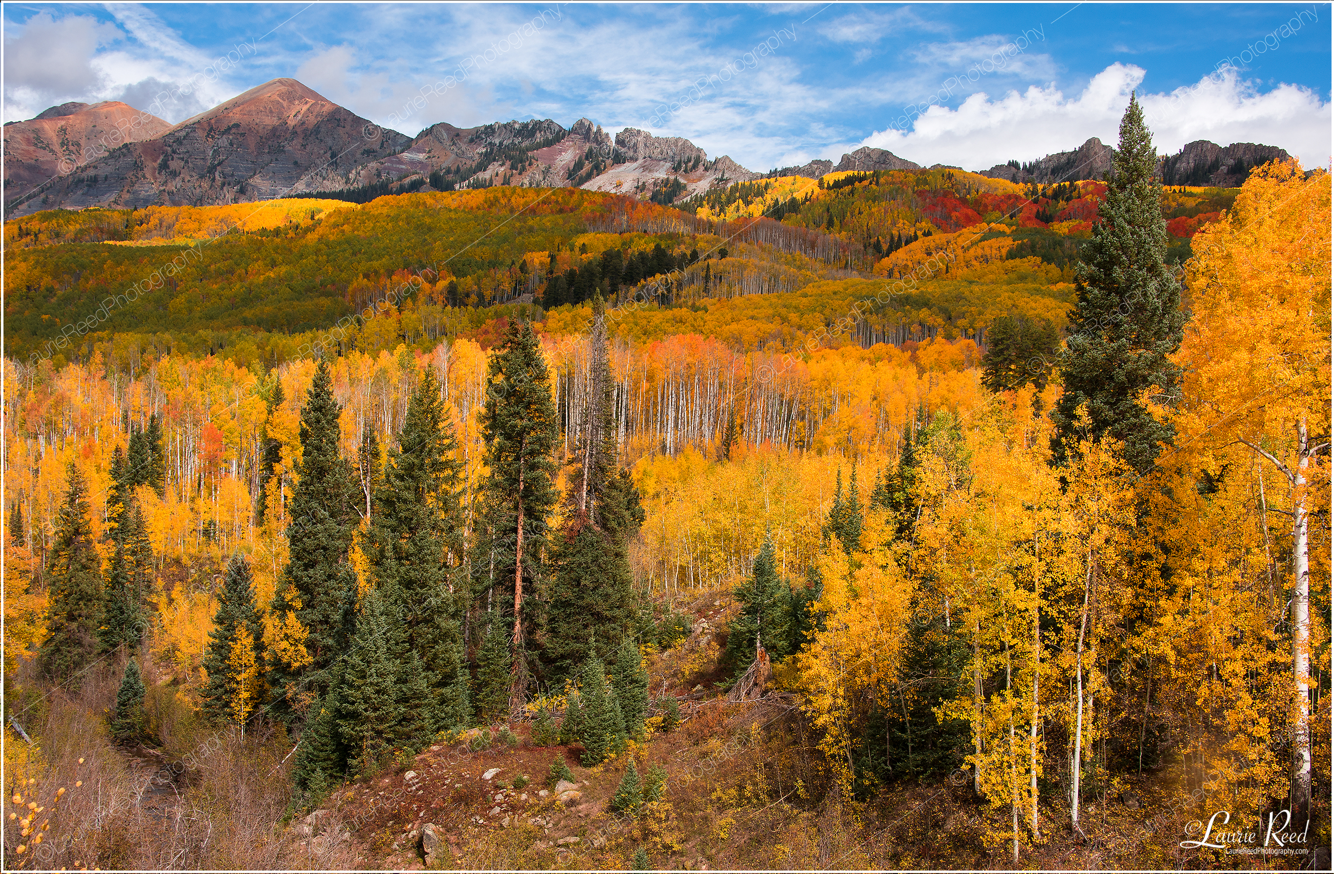 KeblerPassCrestedButte-DSC_4659-Crop © Laurie Reed Photography