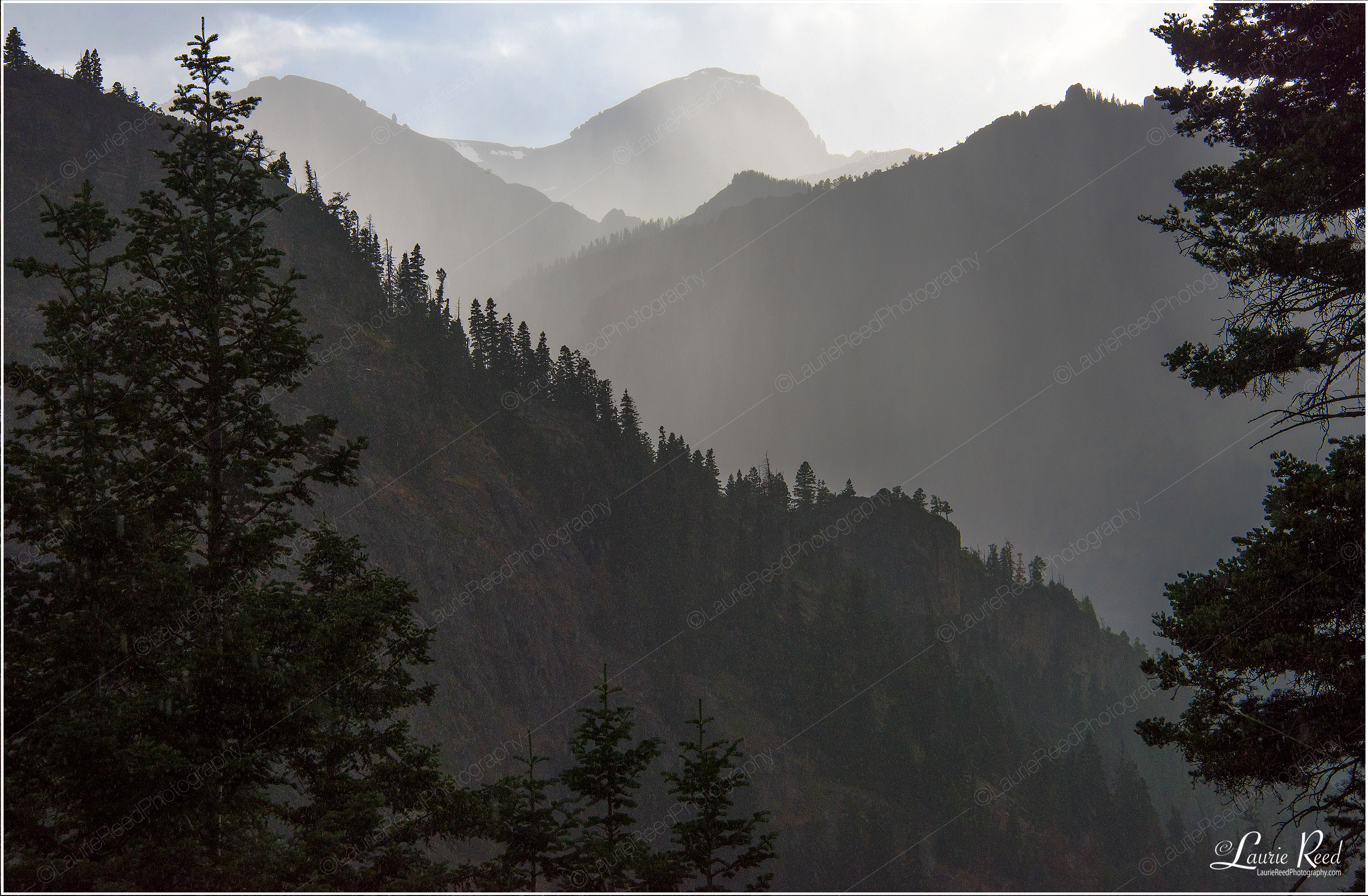 © Laurie Reed Photography