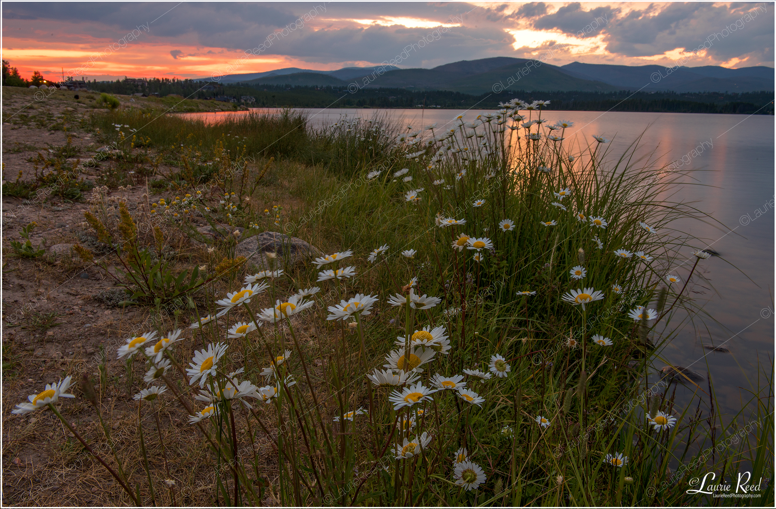 ShadowMountainReservoir-Sunset-2129 © Laurie Reed Photography
