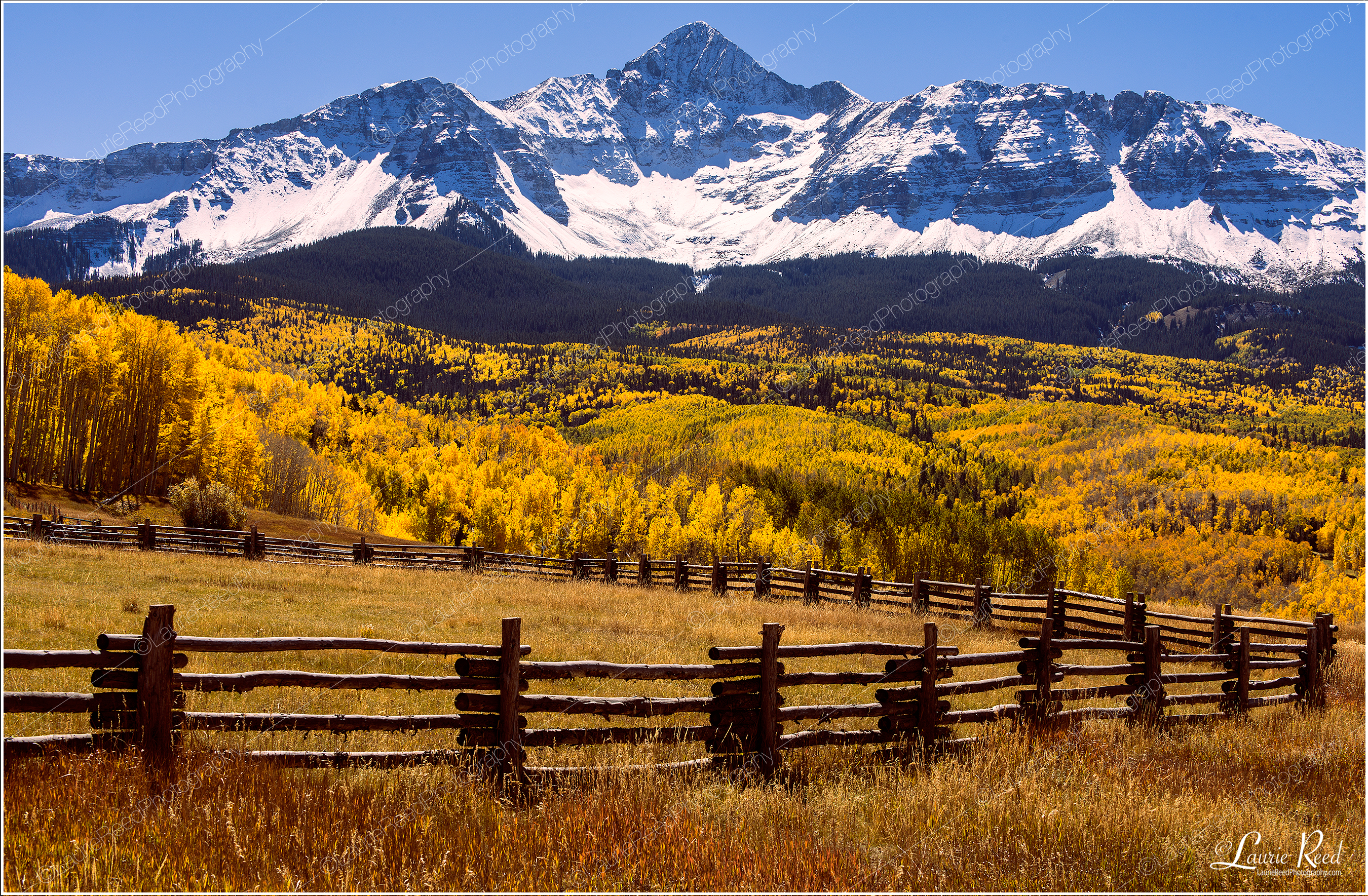 Wilson Peak Fall - 8324 © Laurie Reed Photography