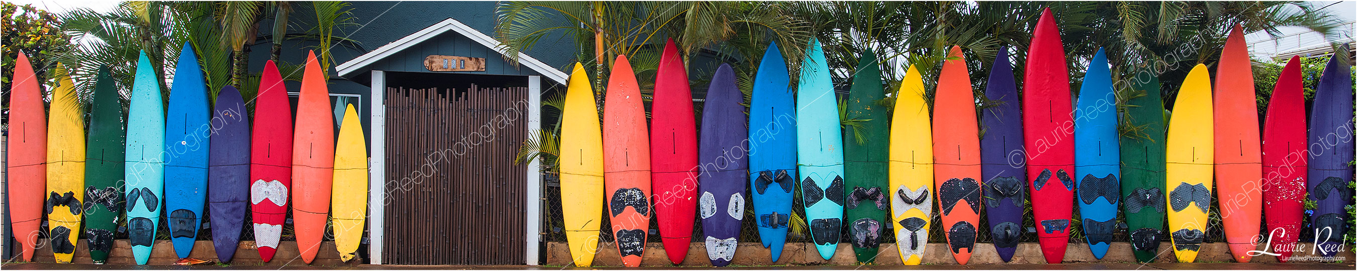 Maui Wowie - © Laurie Reed Photography