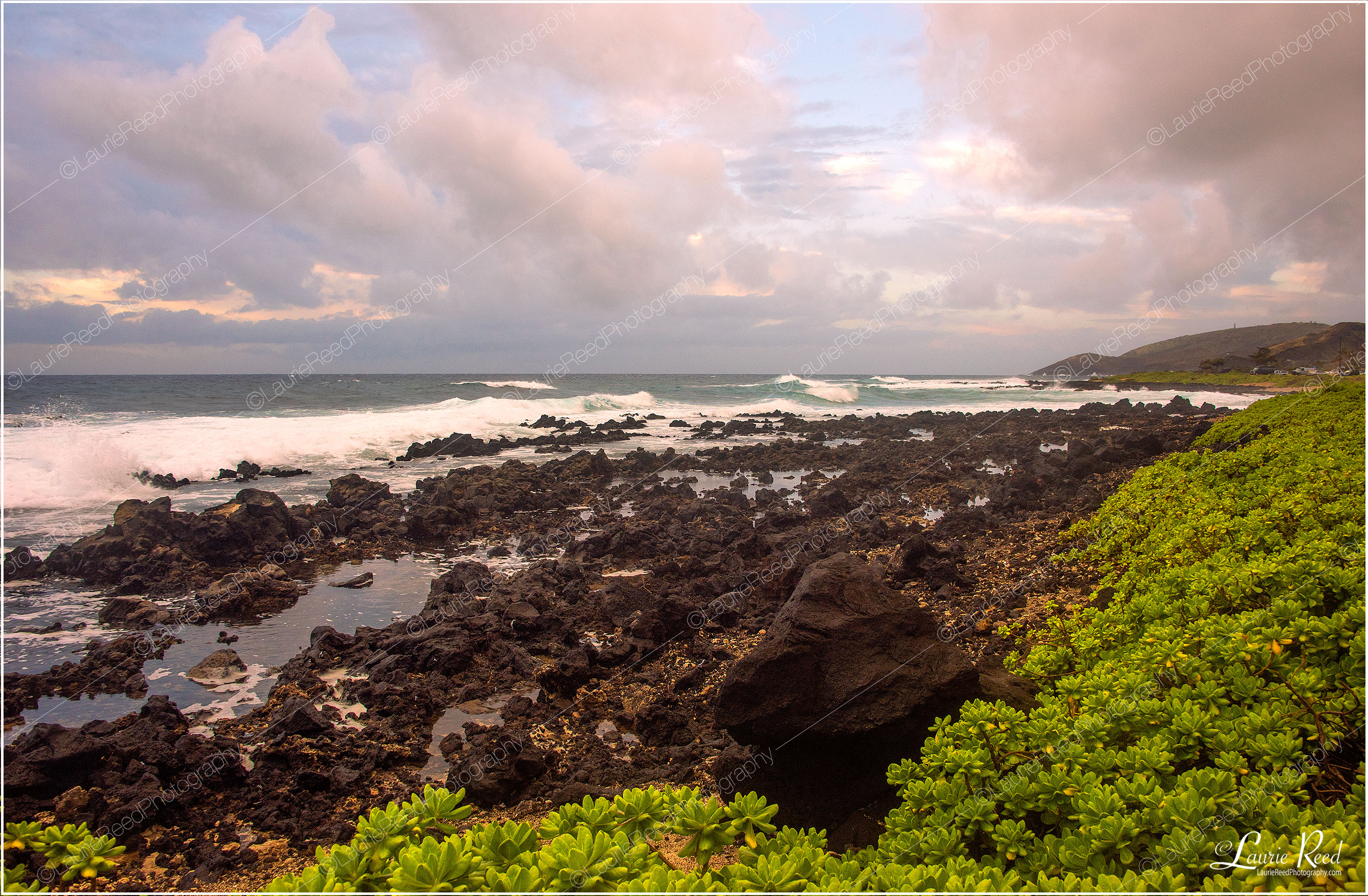 Oahou Beach © Laurie Reed Photography