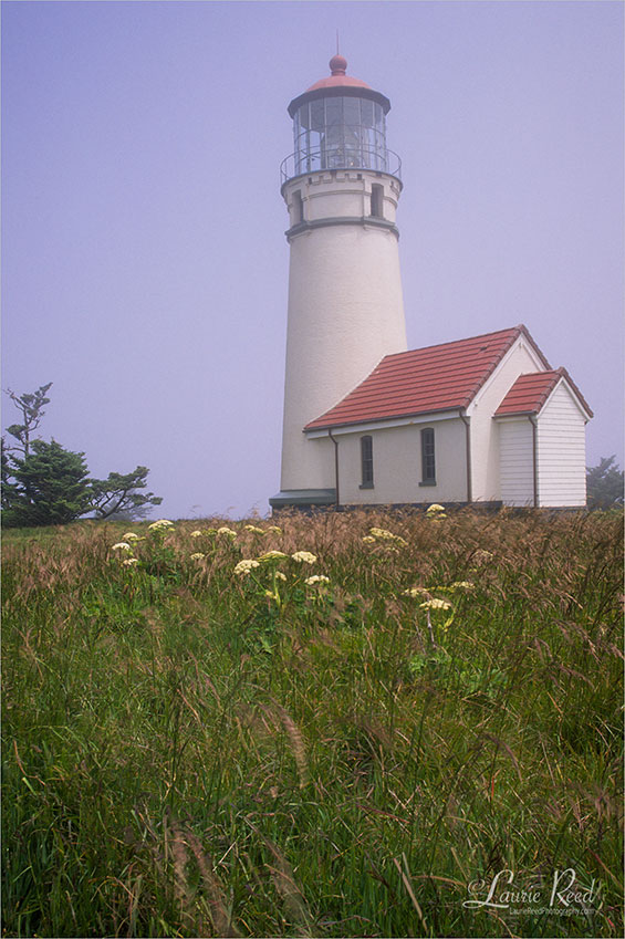 Cape Blanco Lighthouse - © Laurie Reed Photography
