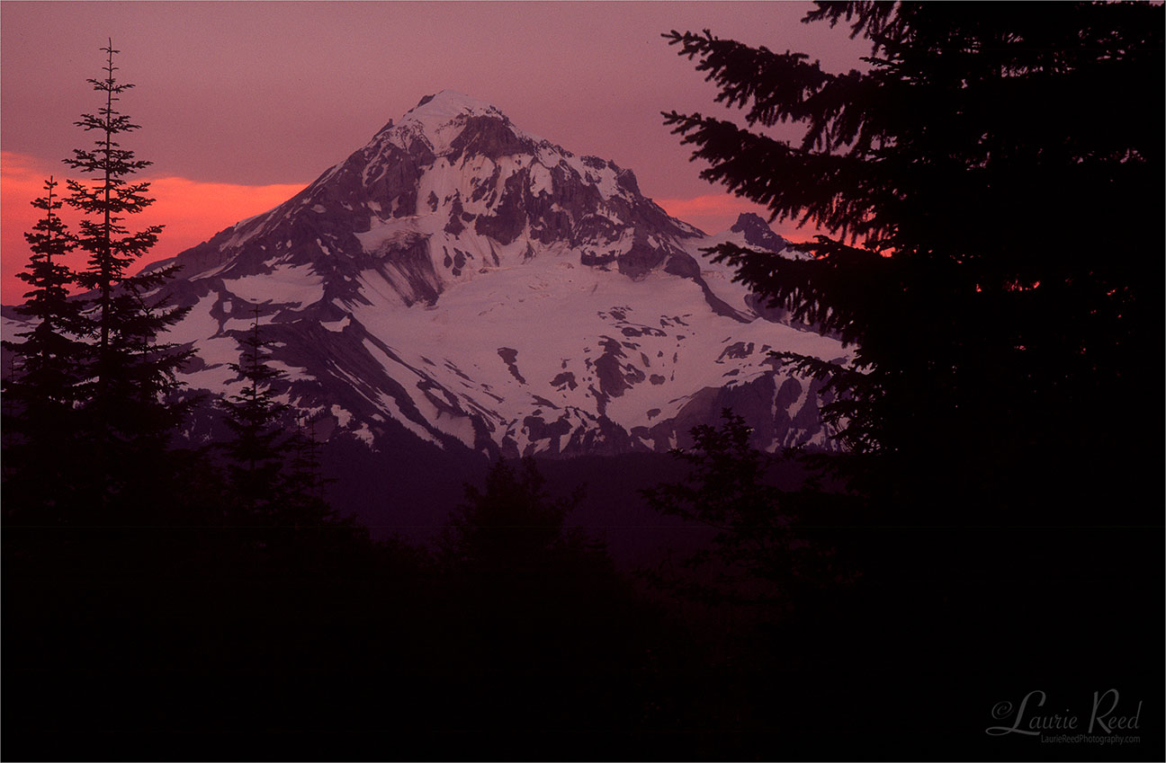 Mount Hood Sunset - © Laurie Reed Photography
