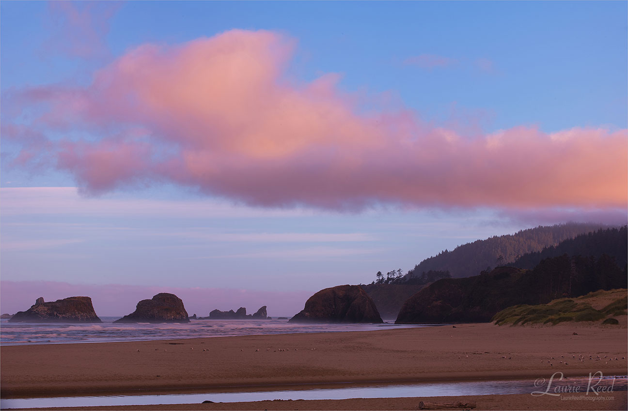 Oregon Beach - © Laurie Reed Photography