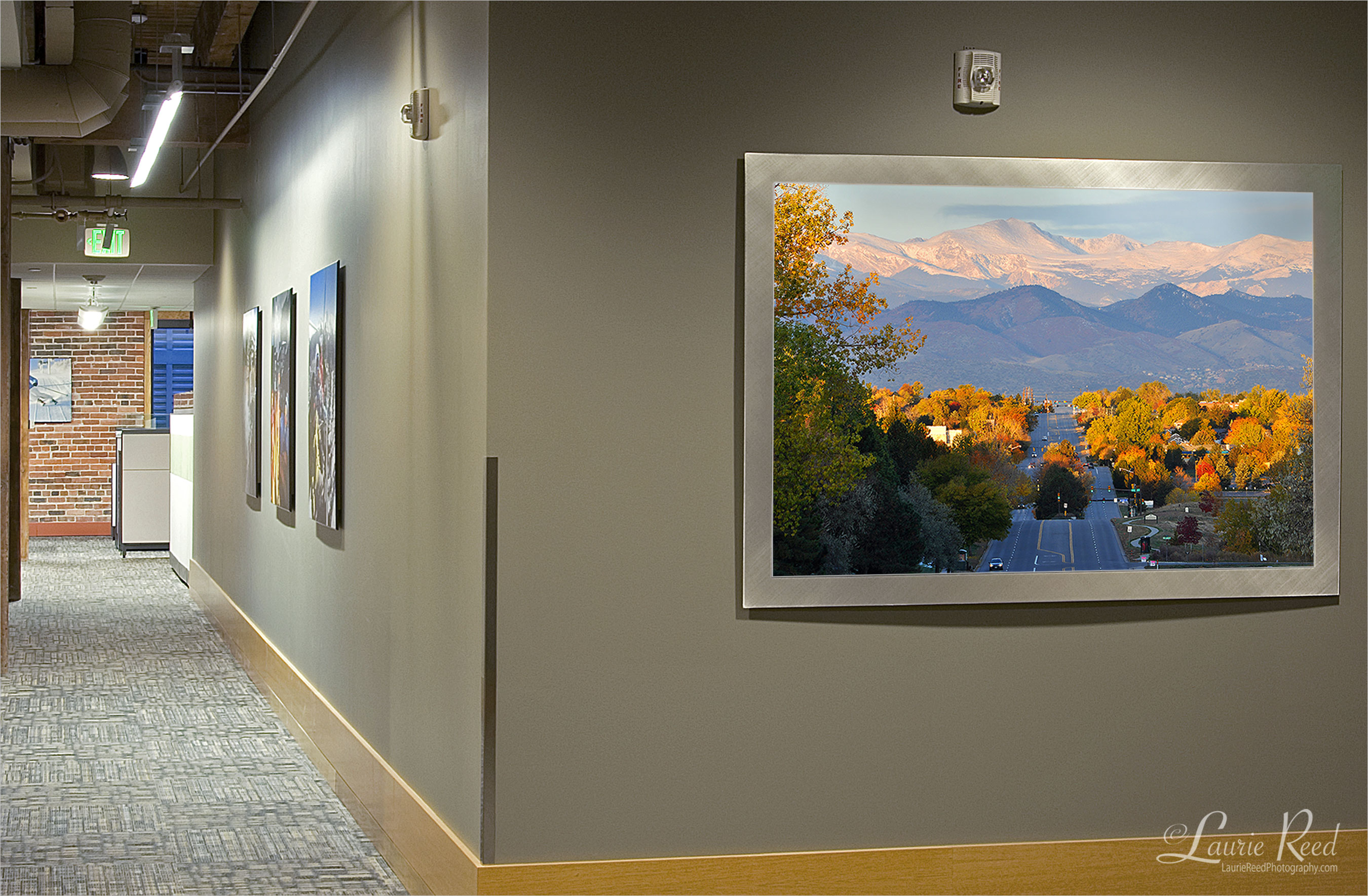 Commercial Wall Art | Laurie Reed Photography