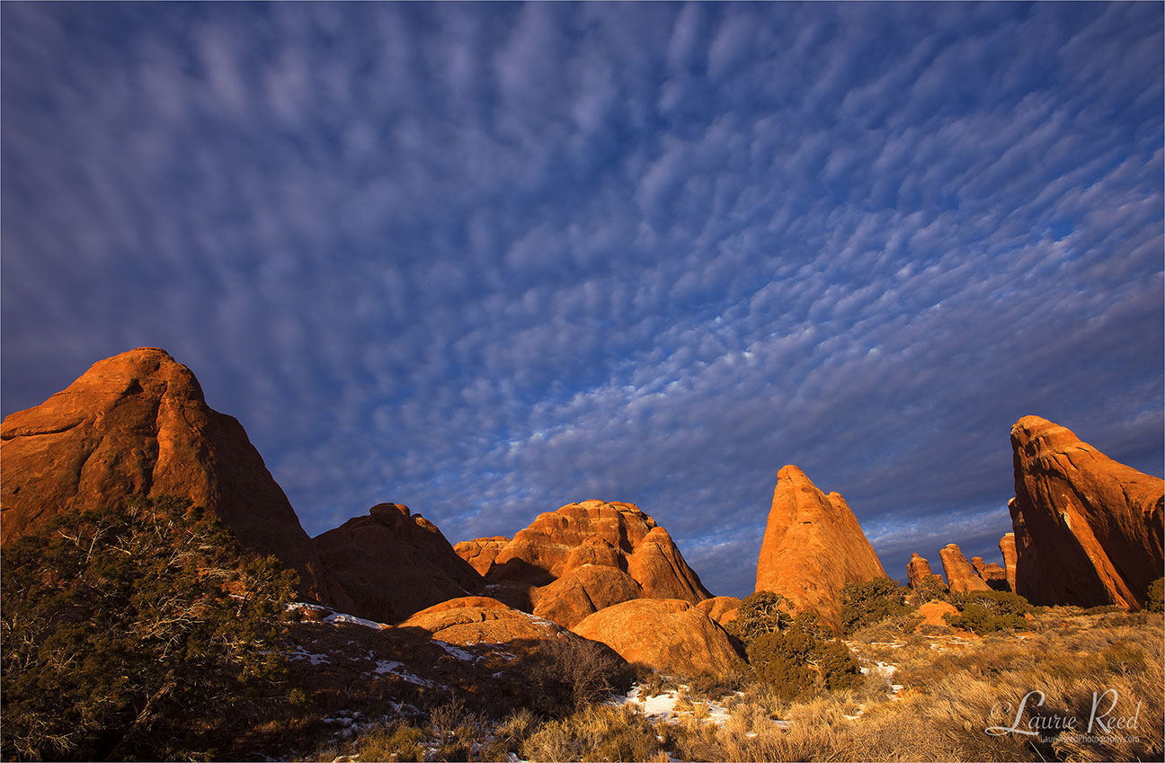Arches National Park - The Fins ©Laurie Reed Photography