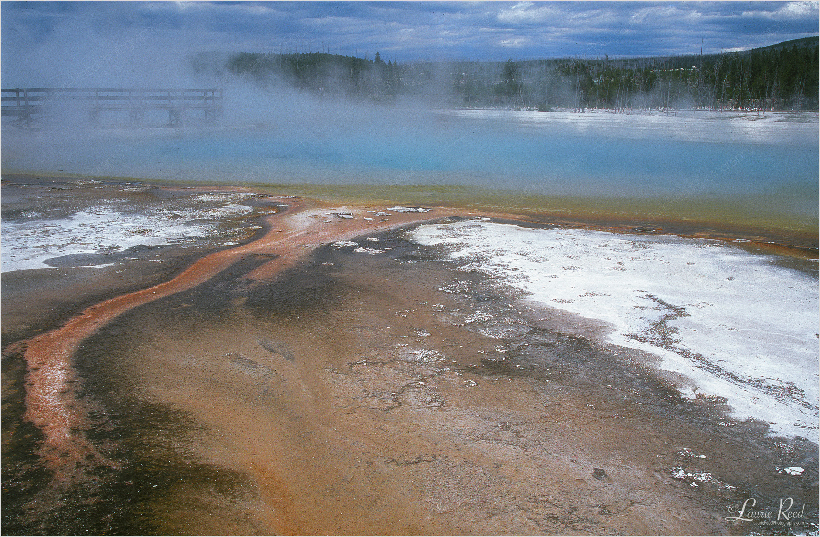 Yellowstone National Park | © Laurie Reed Photography